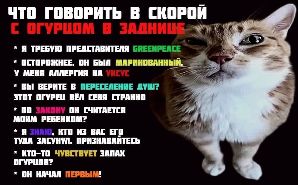 Что сказать при встрече