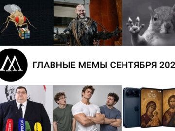 мемы сентября 2026