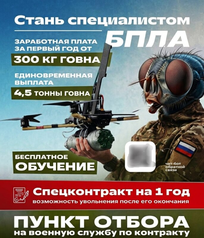 мозг мухи мем
