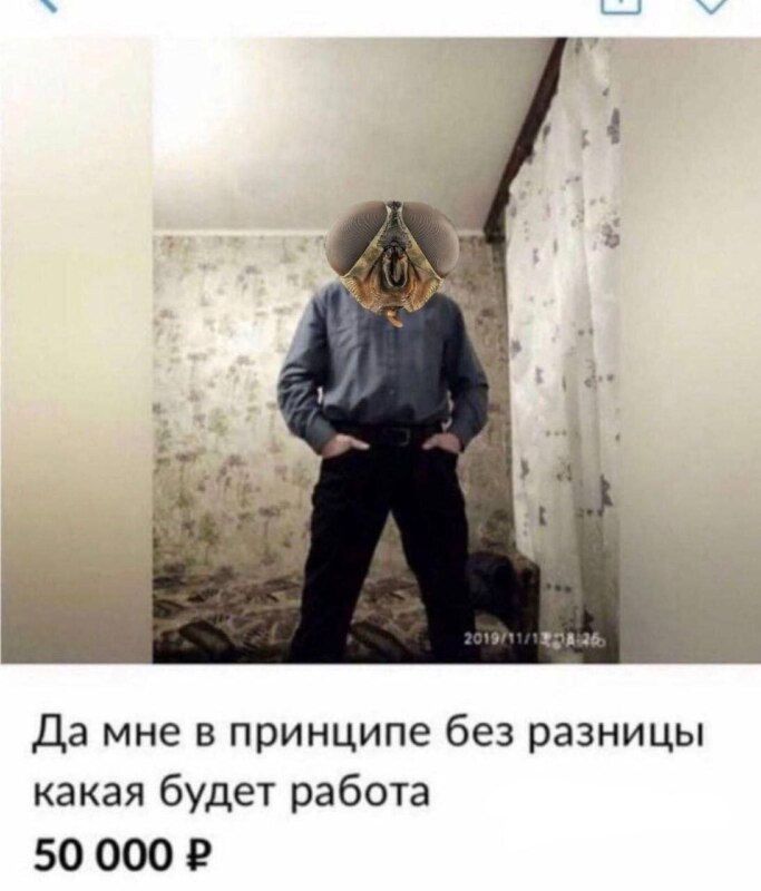 мозг мухи мем