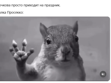 Белка в торнадо
