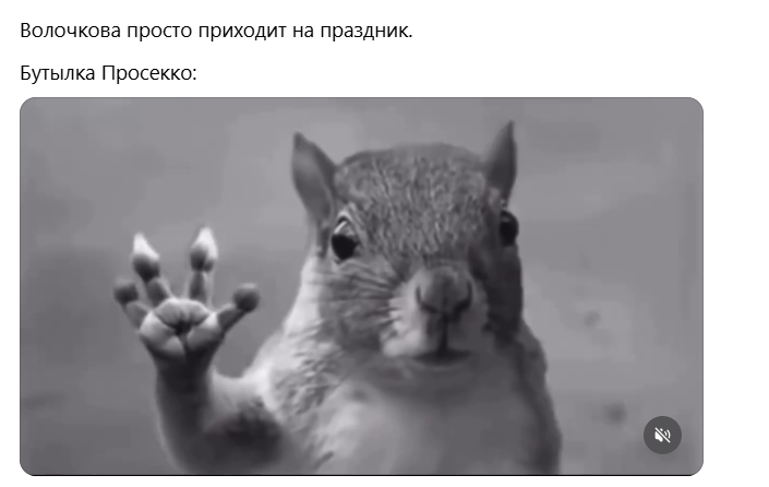 Белка в торнадо