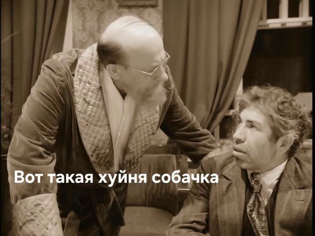 Вот такая вот хуйня, собачка