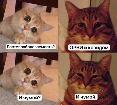 иркутск чума