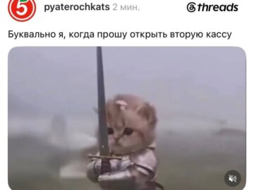 Котенок с мечом