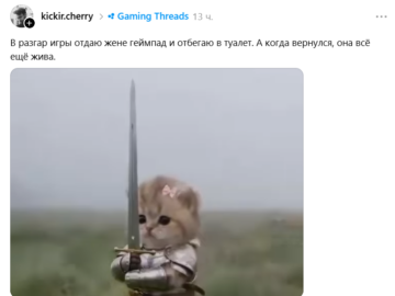 Котенок с мечом