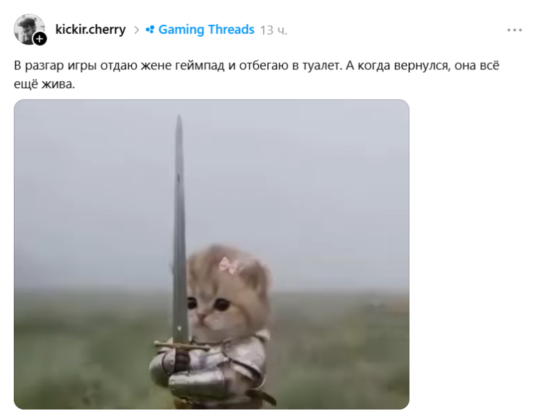 Котенок с мечом