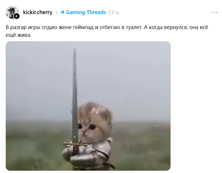Котенок с мечом