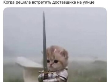 Котенок с мечом