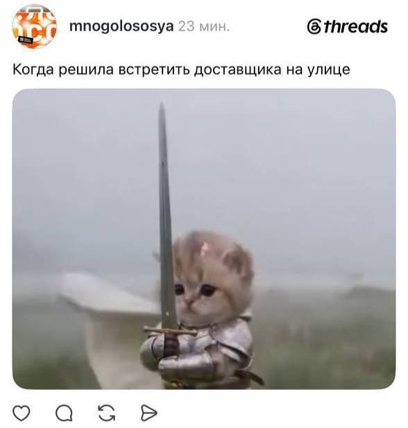 Котенок с мечом