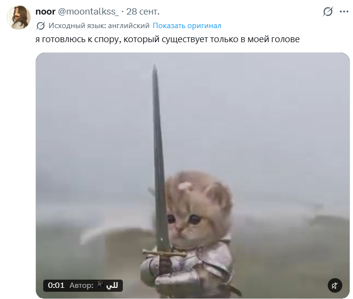 Котенок с мечом