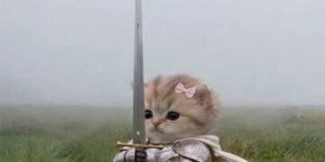 Котенок с мечом