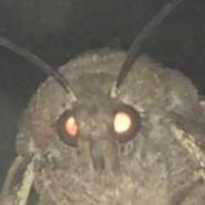 Рисунок профиля (id196140097)