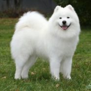 Рисунок профиля (panban)