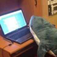 Рисунок профиля (Brays)