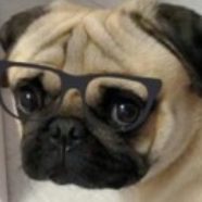 Рисунок профиля (tetriadecima)