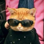 Рисунок профиля (Memtality)